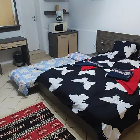 Garsoniera De Inchiriat Apartment